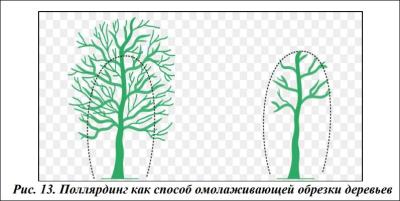 Прикрепленное изображение: Снимок1.JPG